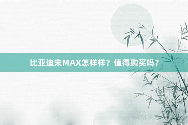 比亚迪宋MAX怎样样？值得购买吗？
